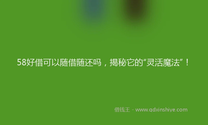 58好借可以随借随还吗，揭秘它的“灵活魔法”！