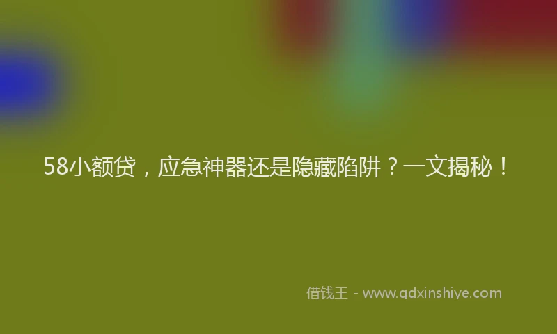 58小额贷，应急神器还是隐藏陷阱？一文揭秘！