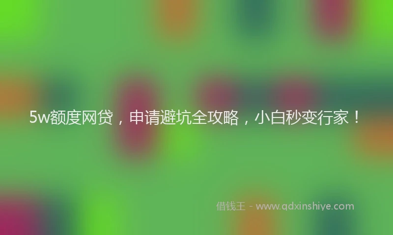 5w额度网贷，申请避坑全攻略，小白秒变行家！