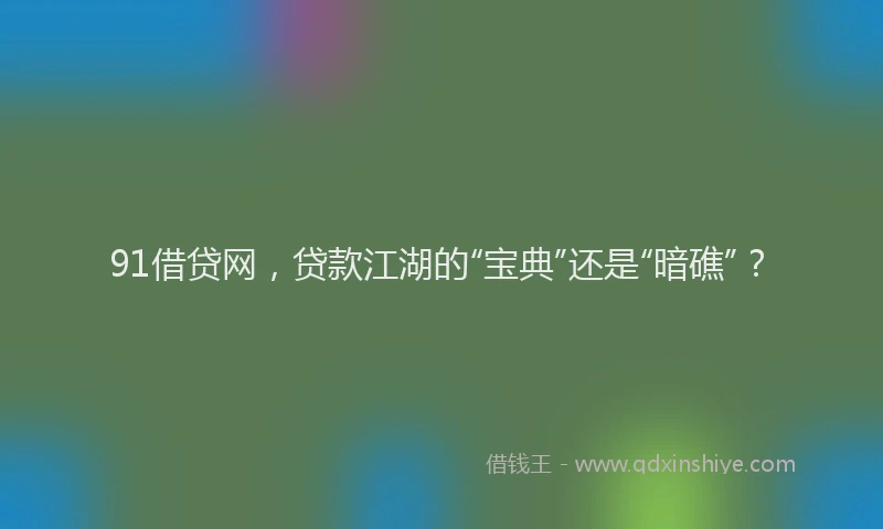 91借贷网，贷款江湖的“宝典”还是“暗礁”？