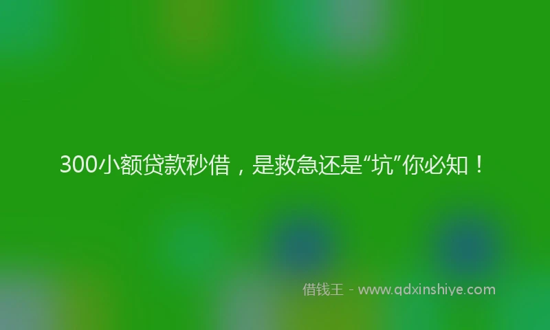 300小额贷款秒借，是救急还是“坑”你必知！