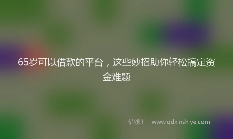 65岁可以借款的平台，这些妙招助你轻松搞定资金难题