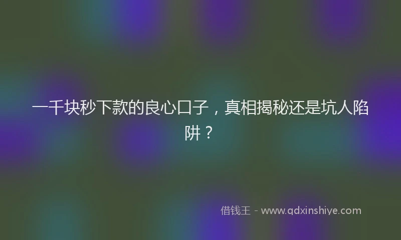 一千块秒下款的良心口子，真相揭秘还是坑人陷阱？