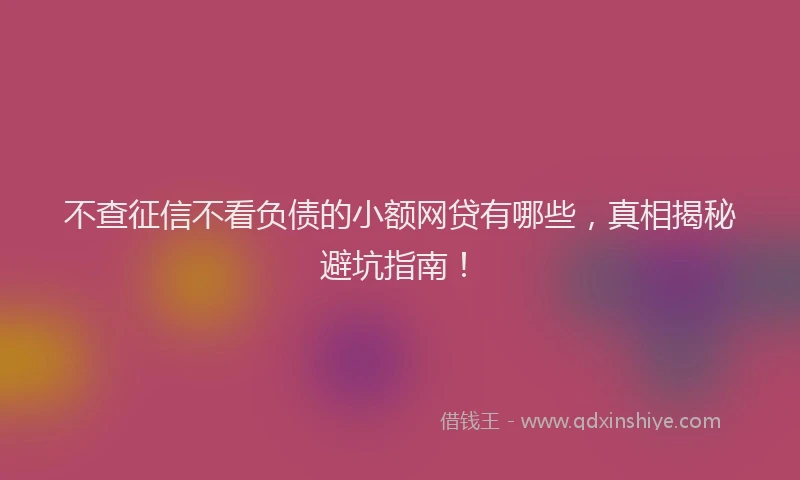 不查征信不看负债的小额网贷有哪些，真相揭秘避坑指南！