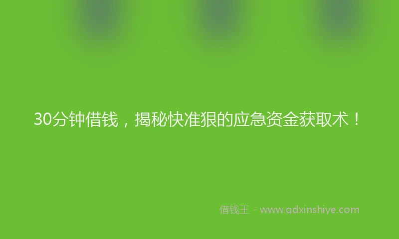 30分钟借钱，揭秘快准狠的应急资金获取术！