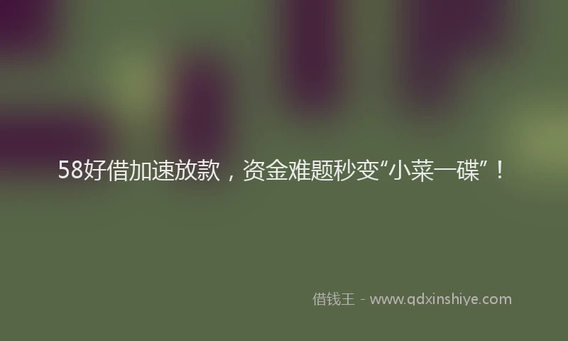 58好借加速放款，资金难题秒变“小菜一碟”！