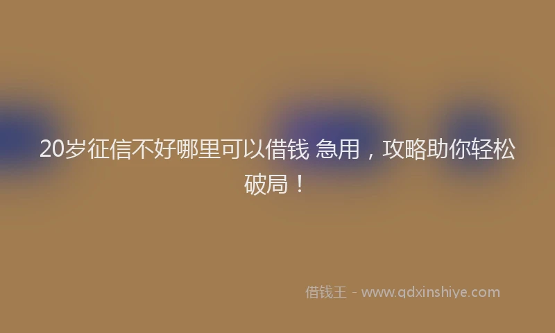 20岁征信不好哪里可以借钱 急用，攻略助你轻松破局！