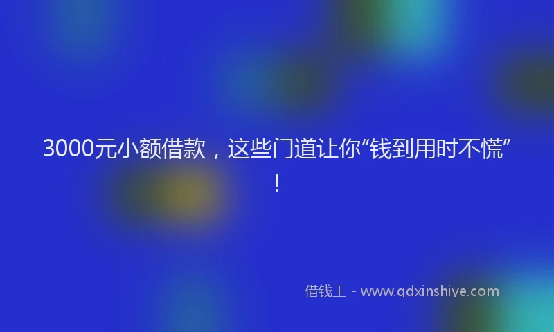 3000元小额借款，这些门道让你“钱到用时不慌”！