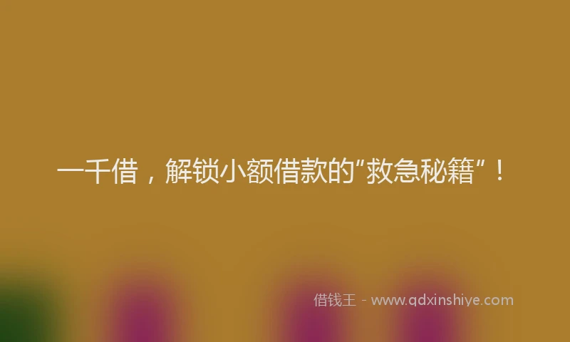 一千借，解锁小额借款的“救急秘籍”！