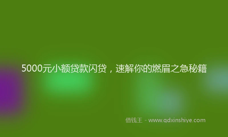 5000元小额贷款闪贷，速解你的燃眉之急秘籍