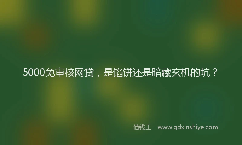 5000免审核网贷，是馅饼还是暗藏玄机的坑？