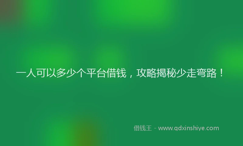 一人可以多少个平台借钱，攻略揭秘少走弯路！