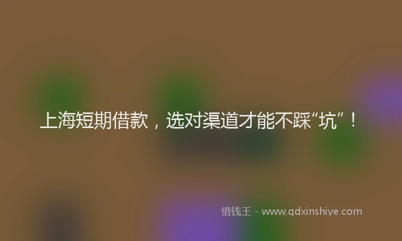 上海短期借款，选对渠道才能不踩“坑”！