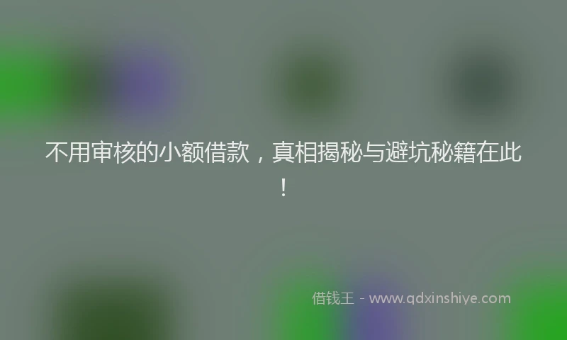 不用审核的小额借款，真相揭秘与避坑秘籍在此！