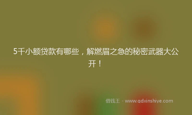 5千小额贷款有哪些，解燃眉之急的秘密武器大公开！