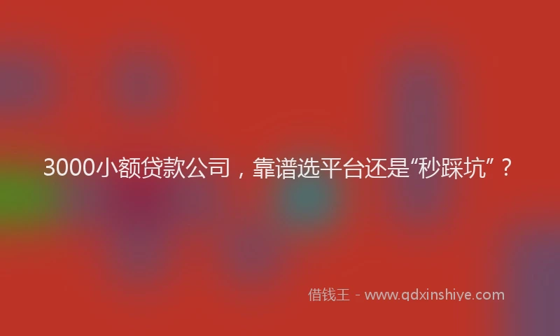 3000小额贷款公司，靠谱选平台还是“秒踩坑”？