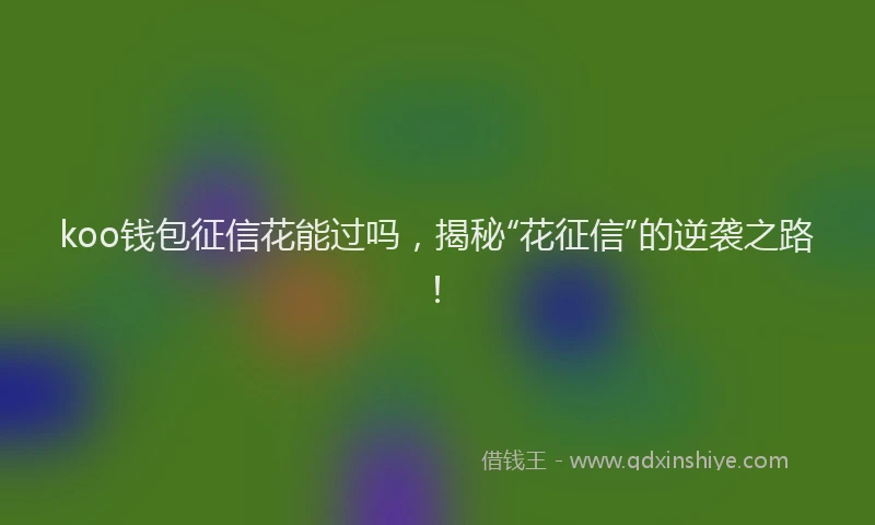 koo钱包征信花能过吗，揭秘“花征信”的逆袭之路！