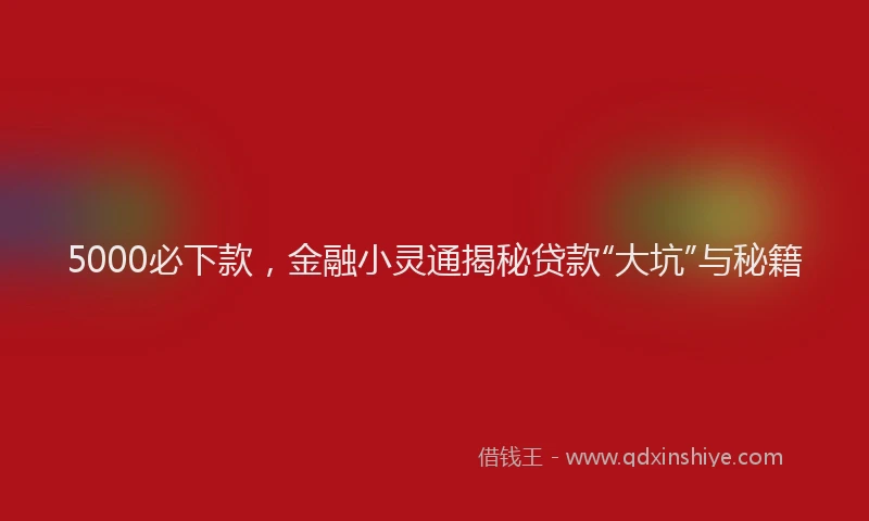 5000必下款，金融小灵通揭秘贷款“大坑”与秘籍