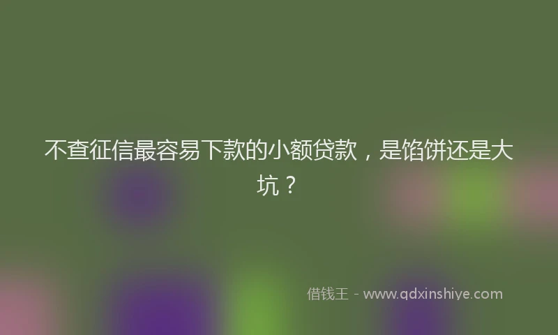 不查征信最容易下款的小额贷款，是馅饼还是大坑？