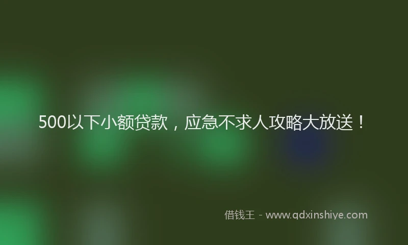 500以下小额贷款，应急不求人攻略大放送！