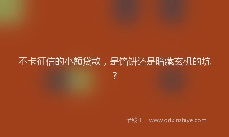 不卡征信的小额贷款，是馅饼还是暗藏玄机的坑？