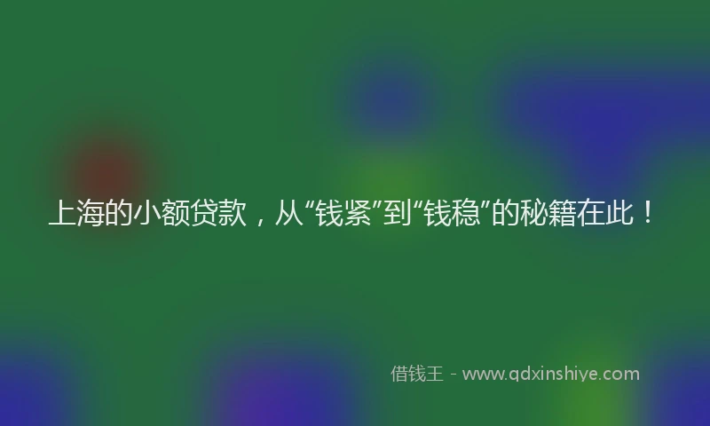 上海的小额贷款，从“钱紧”到“钱稳”的秘籍在此！