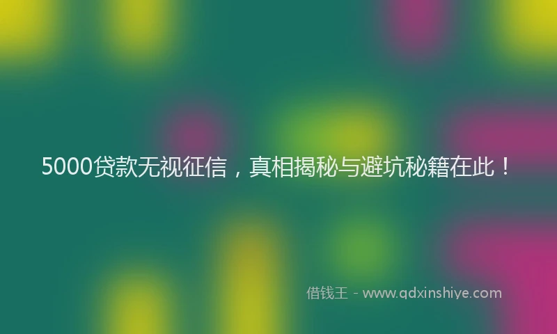 5000贷款无视征信，真相揭秘与避坑秘籍在此！