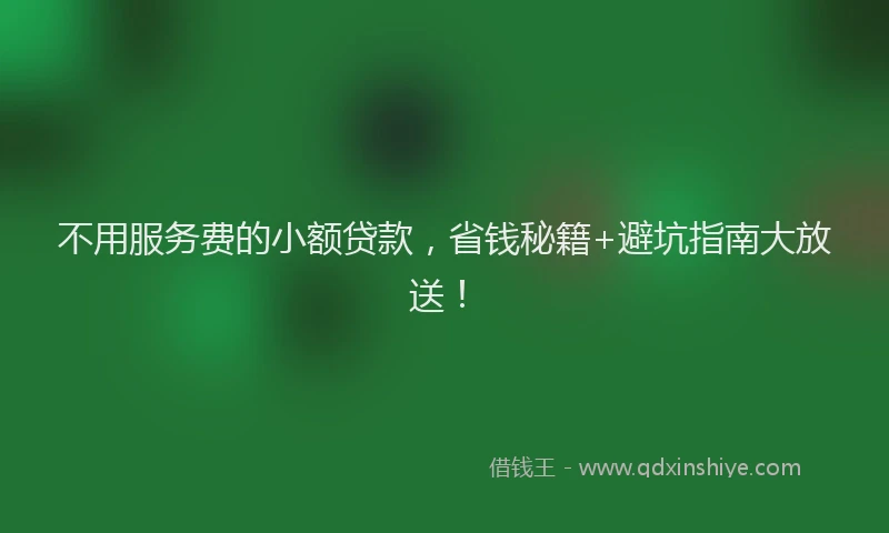 不用服务费的小额贷款，省钱秘籍+避坑指南大放送！