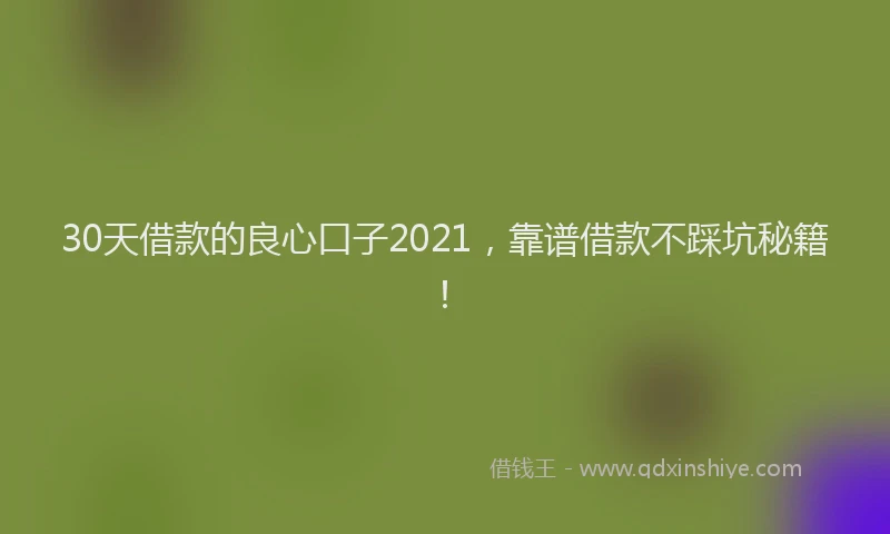 30天借款的良心口子2021，靠谱借款不踩坑秘籍！