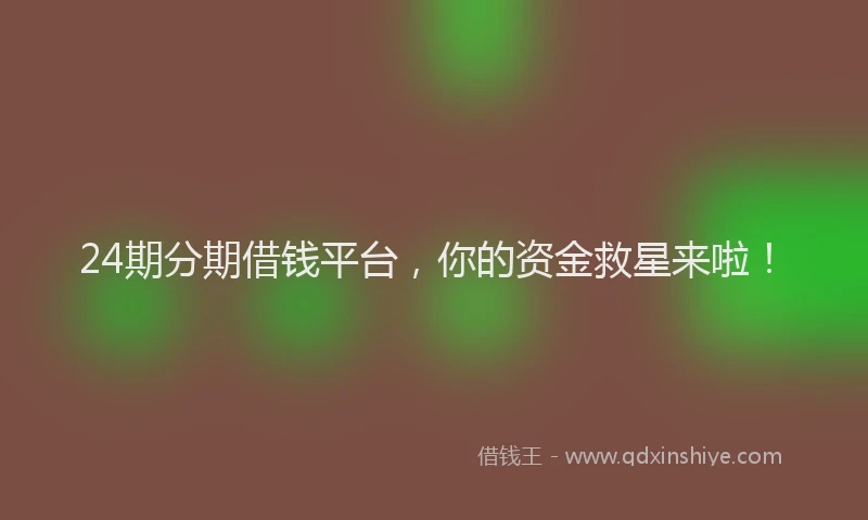 24期分期借钱平台，你的资金救星来啦！