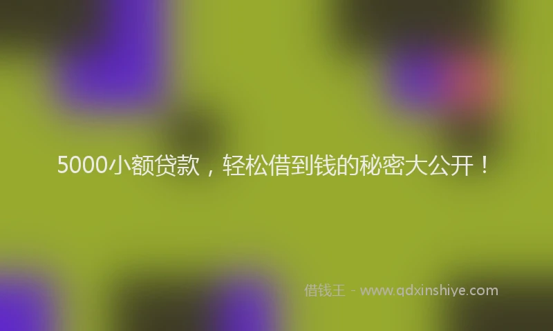 5000小额贷款，轻松借到钱的秘密大公开！