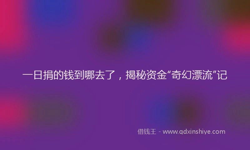一日捐的钱到哪去了，揭秘资金“奇幻漂流”记