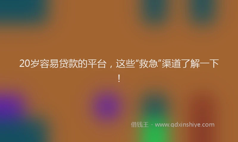 20岁容易贷款的平台，这些“救急”渠道了解一下！