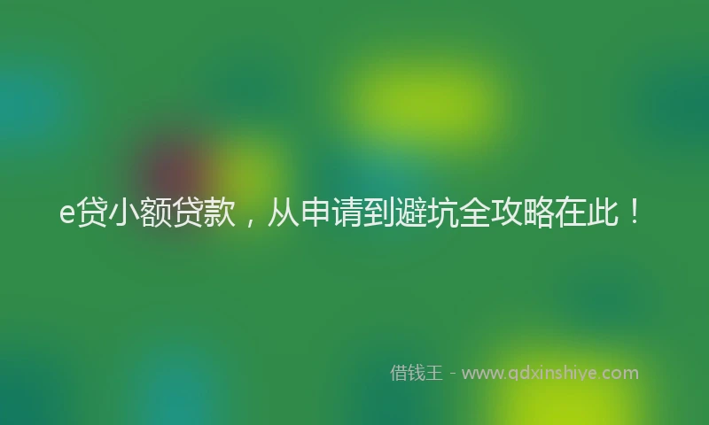 e贷小额贷款，从申请到避坑全攻略在此！