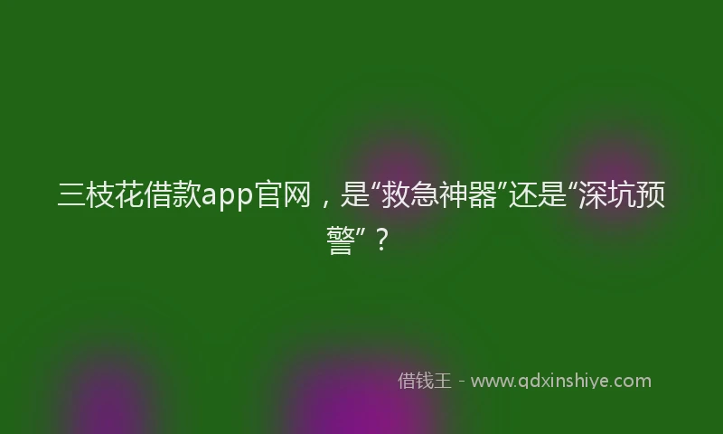 三枝花借款app官网，是“救急神器”还是“深坑预警”？