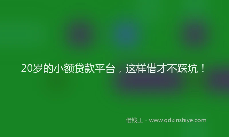 20岁的小额贷款平台，这样借才不踩坑！