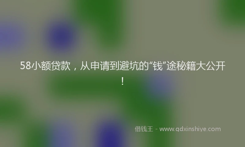 58小额贷款，从申请到避坑的“钱”途秘籍大公开！