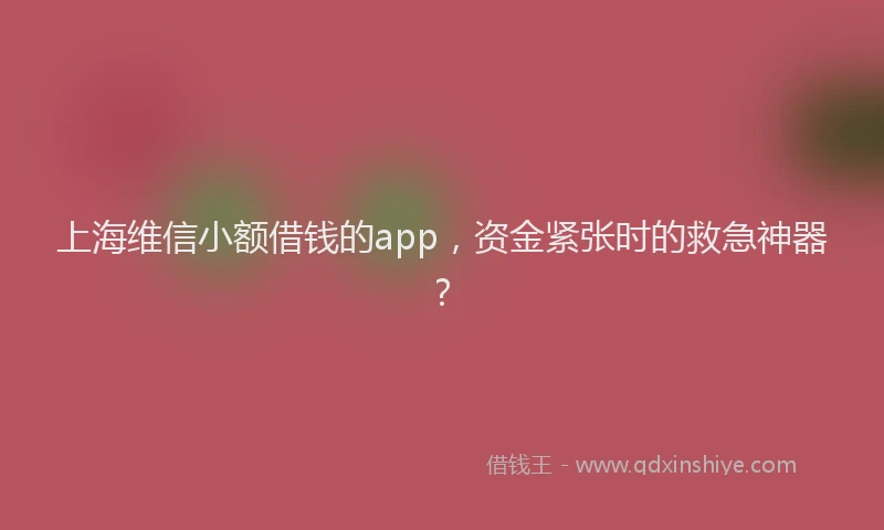 上海维信小额借钱的app，资金紧张时的救急神器？