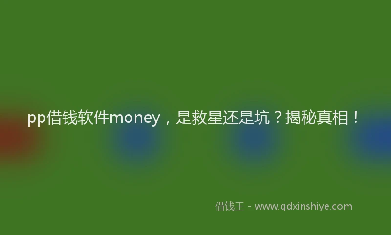 pp借钱软件money，是救星还是坑？揭秘真相！