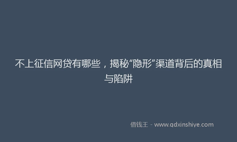 不上征信网贷有哪些，揭秘“隐形”渠道背后的真相与陷阱