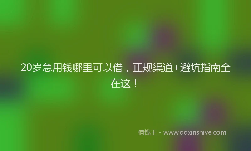 20岁急用钱哪里可以借，正规渠道+避坑指南全在这！