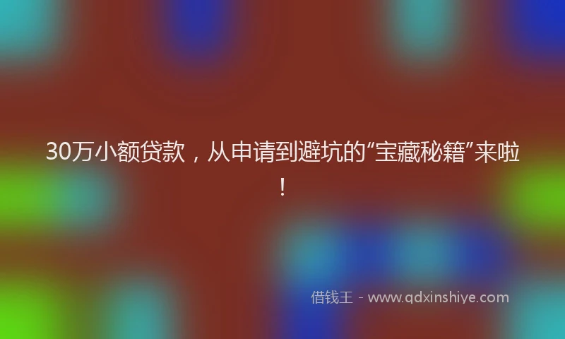 30万小额贷款，从申请到避坑的“宝藏秘籍”来啦！