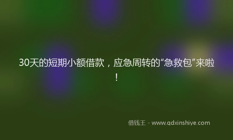 30天的短期小额借款，应急周转的“急救包”来啦！