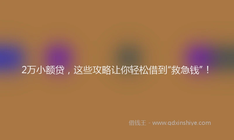 2万小额贷，这些攻略让你轻松借到“救急钱”！