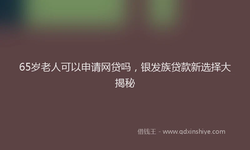 65岁老人可以申请网贷吗，银发族贷款新选择大揭秘