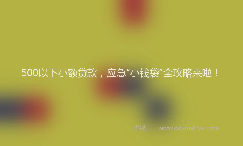 500以下小额贷款，应急“小钱袋”全攻略来啦！