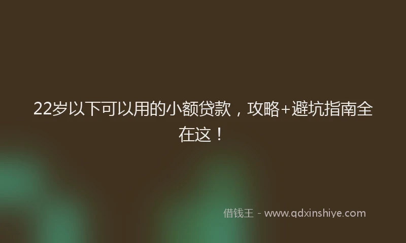 22岁以下可以用的小额贷款，攻略+避坑指南全在这！