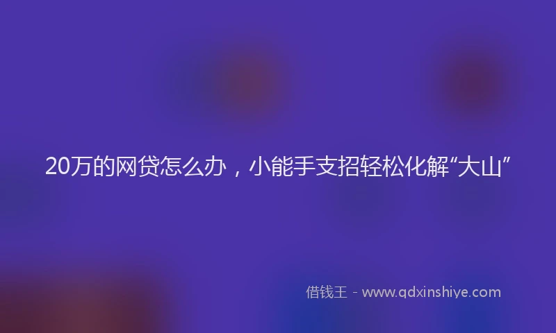 20万的网贷怎么办,小能手支招轻松化解“大山”