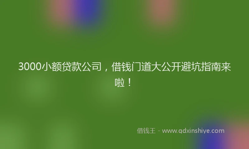 3000小额贷款公司，借钱门道大公开避坑指南来啦！