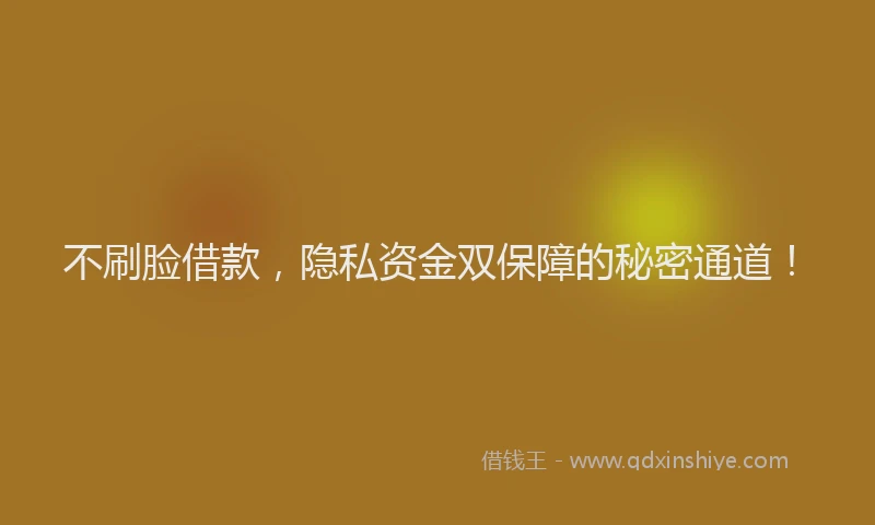 不刷脸借款，隐私资金双保障的秘密通道！